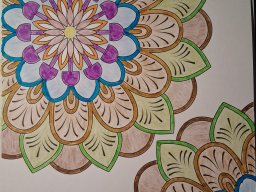 whatsapp image 2026-01-25 at 16.50.58